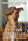 The Finn Chronicles