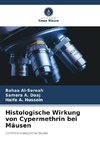 Histologische Wirkung von Cypermethrin bei Mäusen