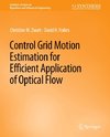 Control Grid Motion Estimation for Efficient Application of Optical Flow