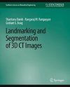 Landmarking and Segmentation of 3D CT Images