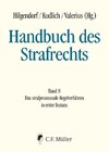 Handbuch des Strafrechts 08