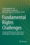 Fundamental Rights Challenges