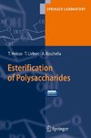 Esterification of Polysaccharides