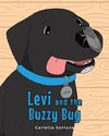 Levi and the Buzzy Bug