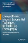 Energy-Efficient Modular Exponential Techniques for Public-Key Cryptography