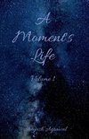 A Moment's Life