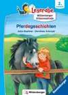 Leserabe - mit Mildenberger Silbenmethode - Pferdegeschichten