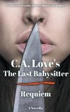 The Last Babysitter