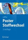 Poster Stoffwechsel