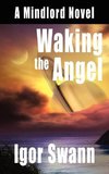 Waking the Angel