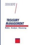Treasury Management
