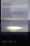 The Luminous Dusk