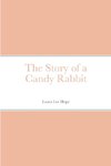 The Story of a Candy Rabbit