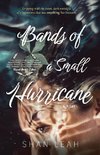 Bands of a Small Hurricane
