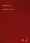 Gaius Julius Caesar