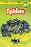 Spiders