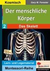 Der menschliche Körper / Das Skelett