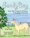 SandyBoy and His Pasture Friend