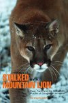 Stalked by a Mountain Lion