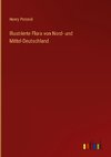 Illustrierte Flora von Nord- und Mittel-Deutschland