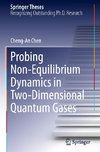 Probing Non-Equilibrium Dynamics in Two-Dimensional Quantum Gases