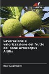 Lavorazione e valorizzazione del frutto del pane Artocarpus Altilis