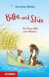 Billie und Stüx 01 - Ein Pony fällt vom Himmel