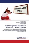 Pathology and Molecular study on Canine Disease