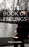 A  Little Book of Feelings