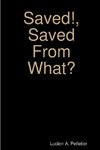 Saved!, Saved From What?