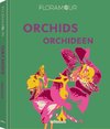 Floramour: Orchideen