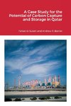 A Case Study for the Potential of Carbon Capture and Storage in Qatar