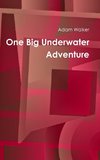 One Big Underwater Adventure
