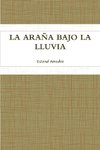LA ARAÑA BAJO LA LLUVIA