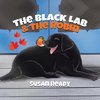 The Black Lab & the Robin