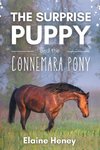 The Surprise Puppy and the Connemara Pony - The Coral Cove Horses Series