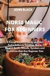 NORSE MAGIC FOR BEGINNERS