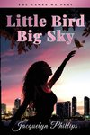 Little Bird, Big Sky