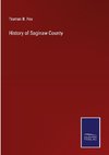 History of Saginaw County