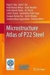 Microstructure Atlas of P22 Steel