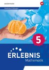 Erlebnis Mathematik - 5. Arbeitsbuch Inklusion
