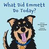 What Did Emmett Do Today?