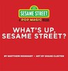 What's Up, Sesame Street (A Pop Magic Book): Folds into a 3-D Street Block