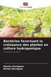 Bactéries favorisant la croissance des plantes en culture hydroponique
