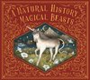 A Natural History of Magical Beasts