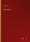 Alpine Plants