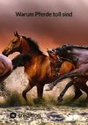 Warum Pferde toll sind