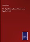 The Triple Mummy Case of Aroeri-Ao, an Egyptian Priest