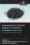 Nanoparticelle di CuFe2O4 drogate con metalli di transizione e terre rare