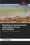 Planting in blue forests: cultivation of red macroalgae